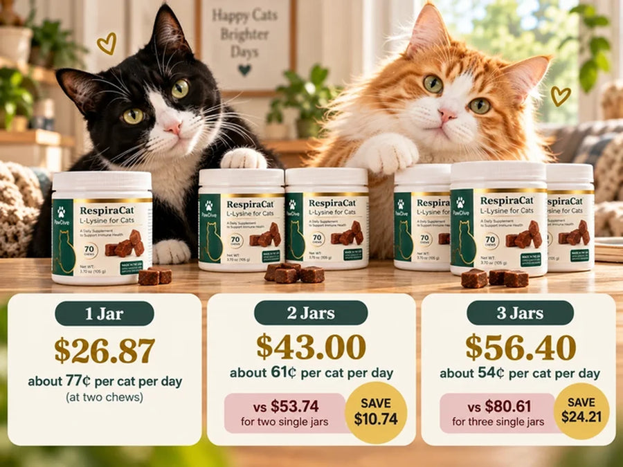 Three RespiraCat jars stacked together