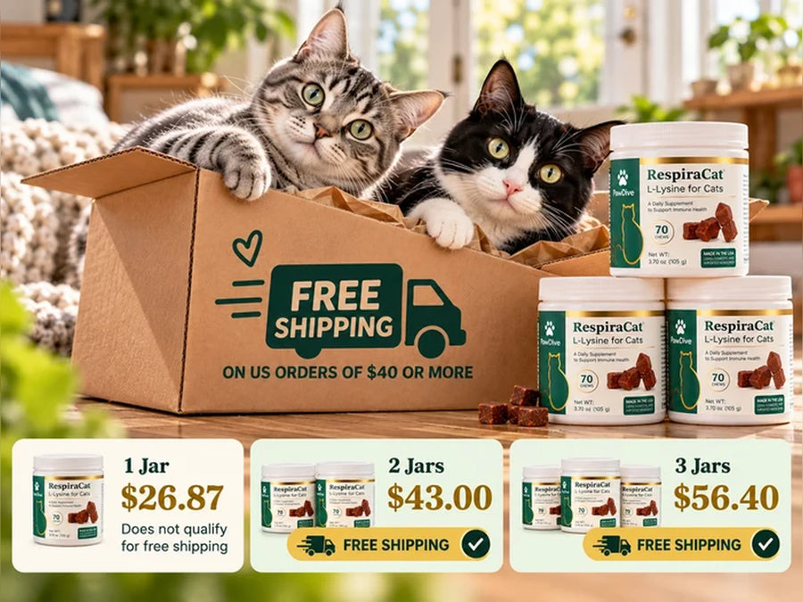 Two RespiraCat jars in a delivery box